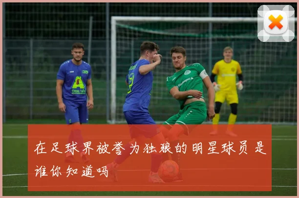 在足球界被誉为独狼的明星球员是谁你知道吗