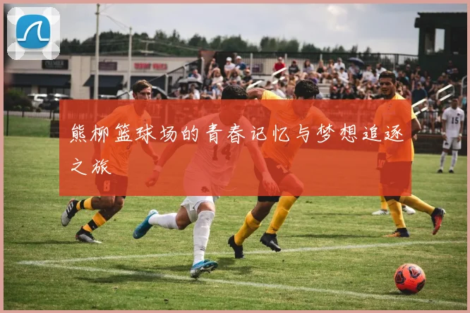 熊柳篮球场的青春记忆与梦想追逐之旅