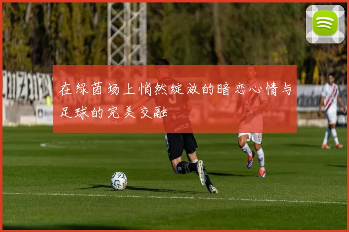 在绿茵场上悄然绽放的暗恋心情与足球的完美交融