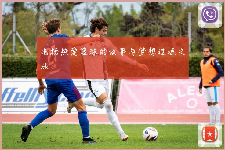 老杨热爱篮球的故事与梦想追逐之旅