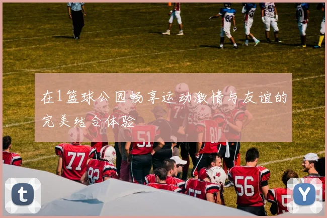 在1篮球公园畅享运动激情与友谊的完美结合体验