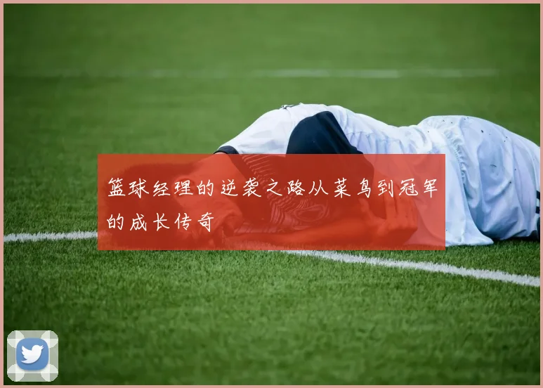 篮球经理的逆袭之路从菜鸟到冠军的成长传奇
