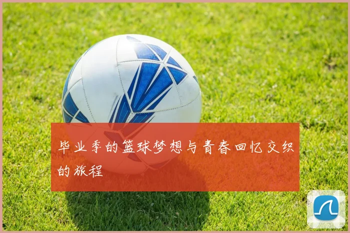 毕业季的篮球梦想与青春回忆交织的旅程