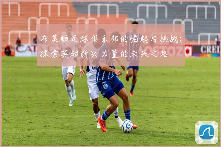 布莱顿足球俱乐部的崛起与挑战：探索英超新兴力量的未来之路