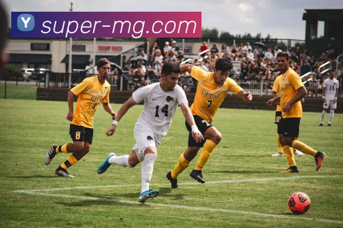 多媒体互动体验